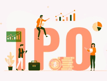 Biggest IPOs in India